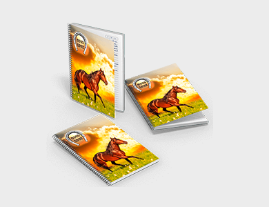 Caderno com Espiral Capa Maleável 20x27,5 96 folhas 4x0 Couchê 300g Laminação Fosca - 4x0 - 1 unid