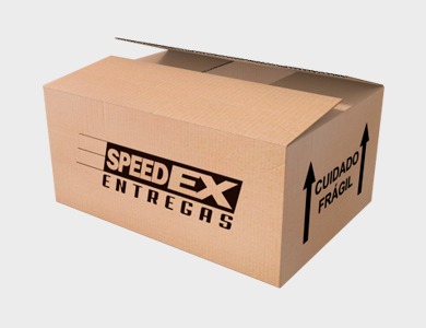 Caixa de Papelão Personalizada Nº 05 - 30,5x21,2x13cm - 4x0 - 500 unid